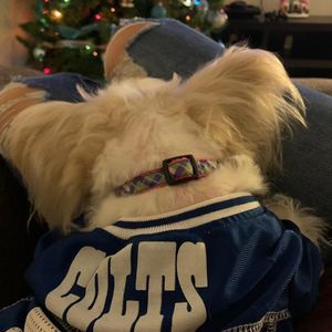 Meet your Posher, Stacy